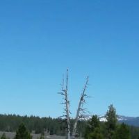 Prosser Ranch Group Campground ico