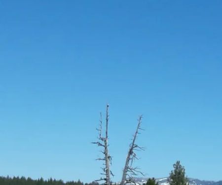 Prosser Ranch Group Campground