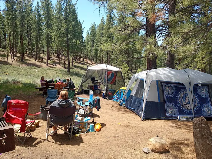 Stampede Reservoir Picture 10