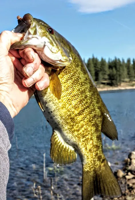 Stampede Reservoir Picture 6