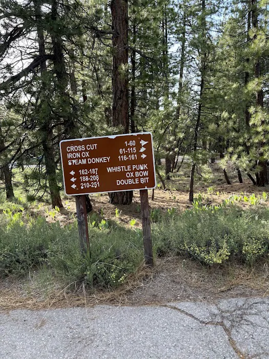 Logger Campground Picture 10