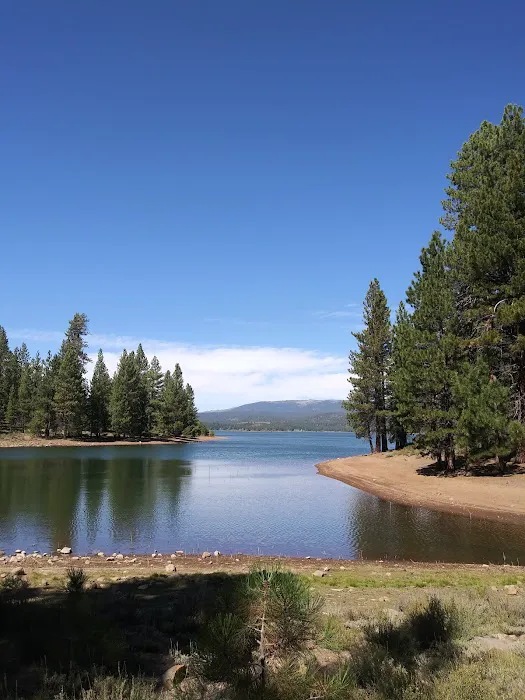 Logger Campground Picture 8