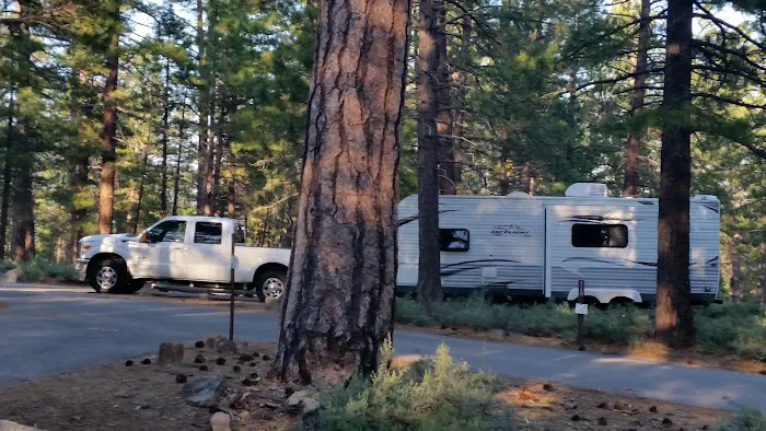 Logger Campground Picture 5
