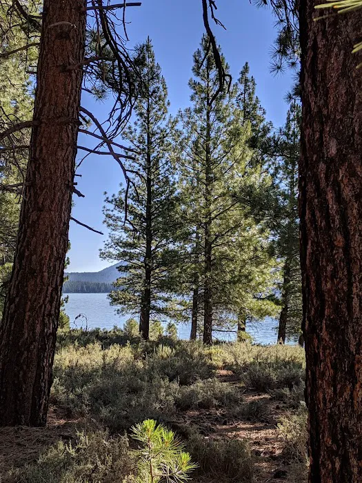 Logger Campground Picture 3