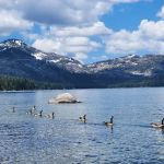 Splitrock Campground