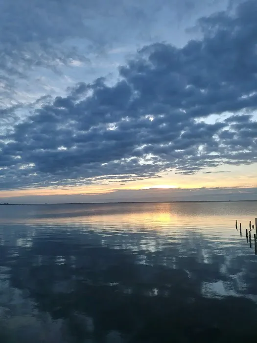 Bayfront RV Park Picture 4