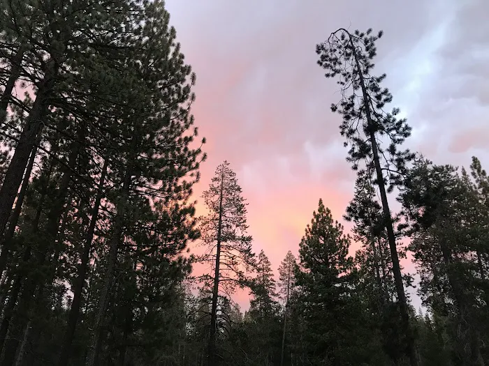 Ridge Campground Picture 4