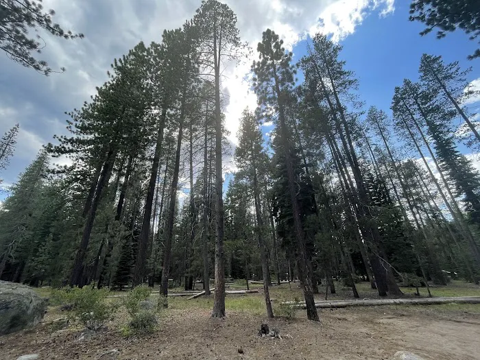 Ridge Campground Picture 10