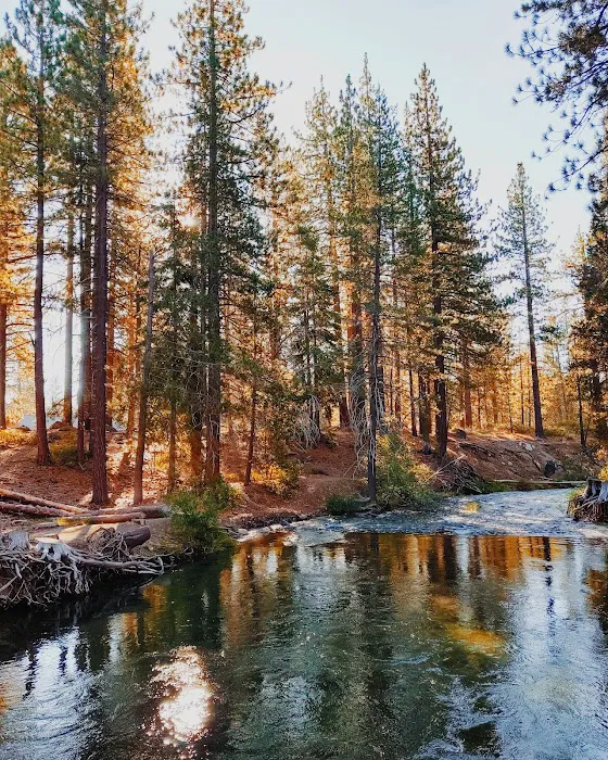 Ridge Campground Picture 9