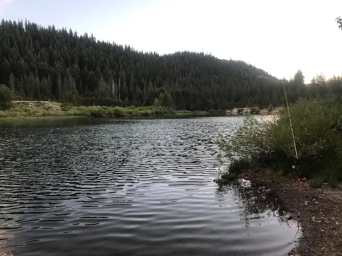 Ridge Campground Picture 6