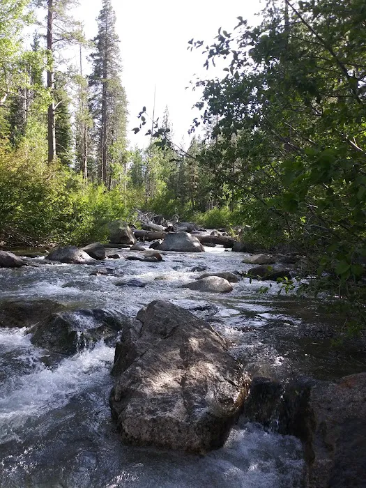 Donner Creek Campground Picture 2