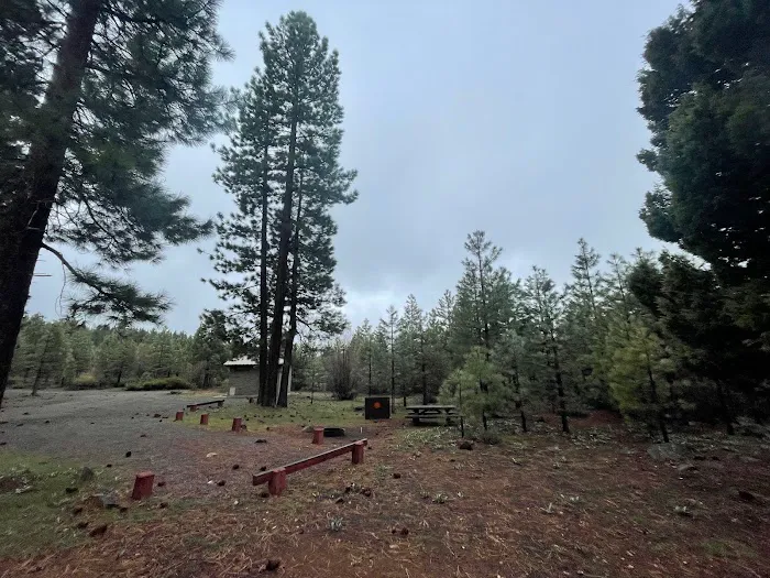 Bear Valley Campground Picture 9