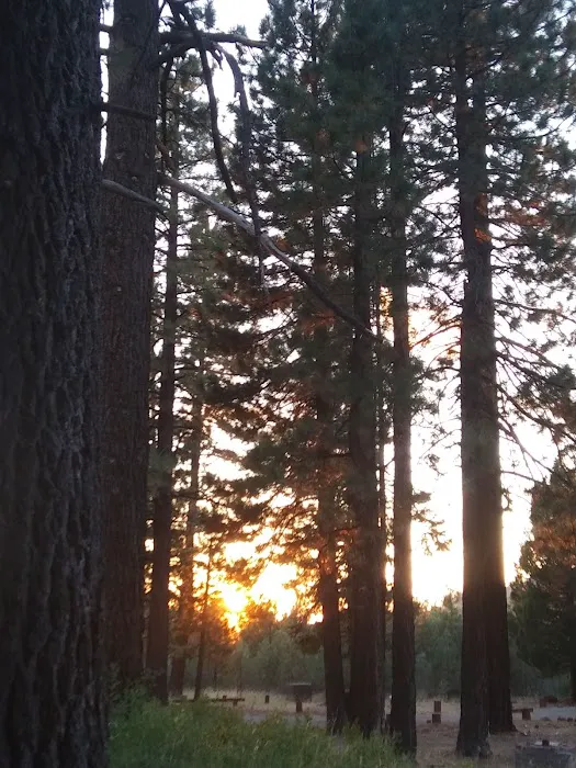 Bear Valley Campground Picture 2