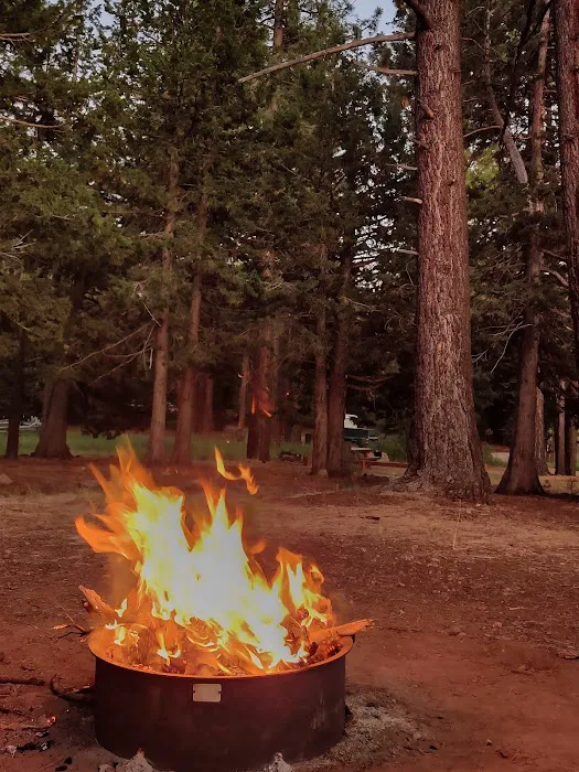Bear Valley Campground Picture 4