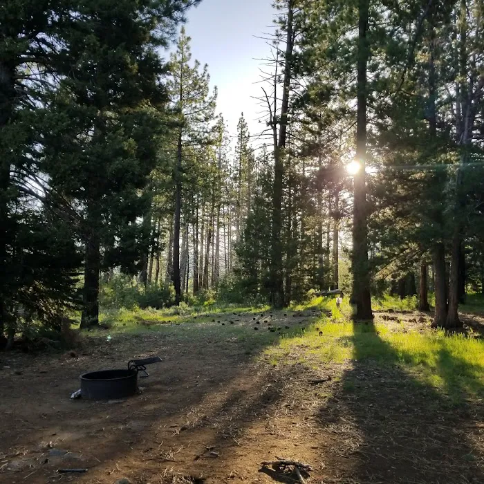 Bear Valley Campground Picture 7