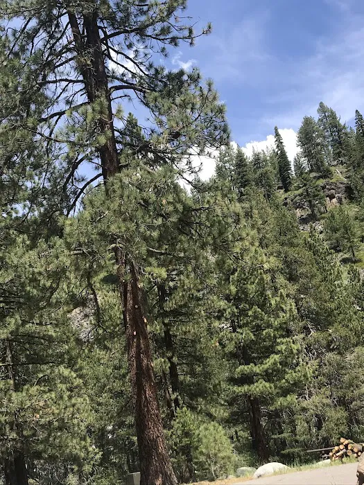 Granite Flat Campground Picture 5