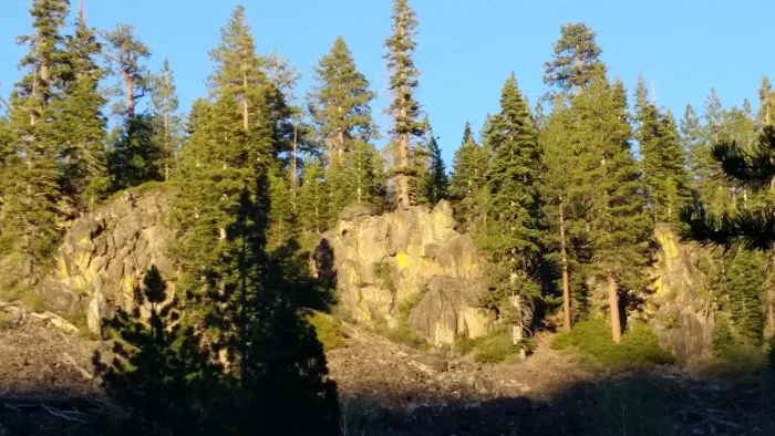 Boyington Mill Campground Picture 1