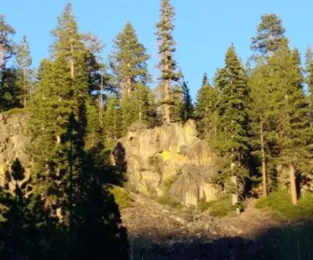 Boyington Mill Campground