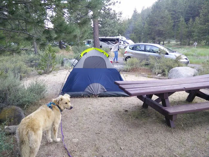 Boyington Mill Campground Picture 9