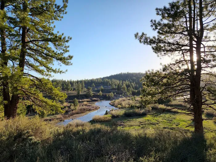 Boyington Mill Campground Picture 4