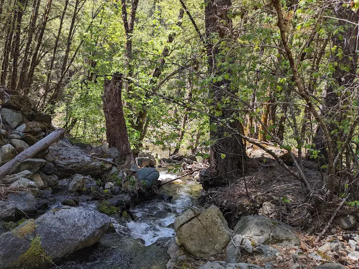 Loganville Campground Picture 9