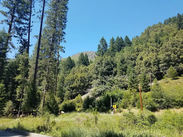 Loganville Campground Picture 2