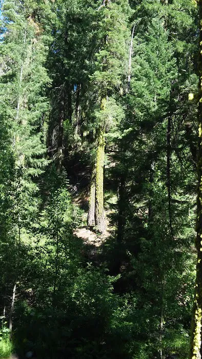 Sierra Campground Picture 1