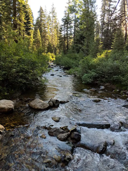 Sierra Campground Picture 7