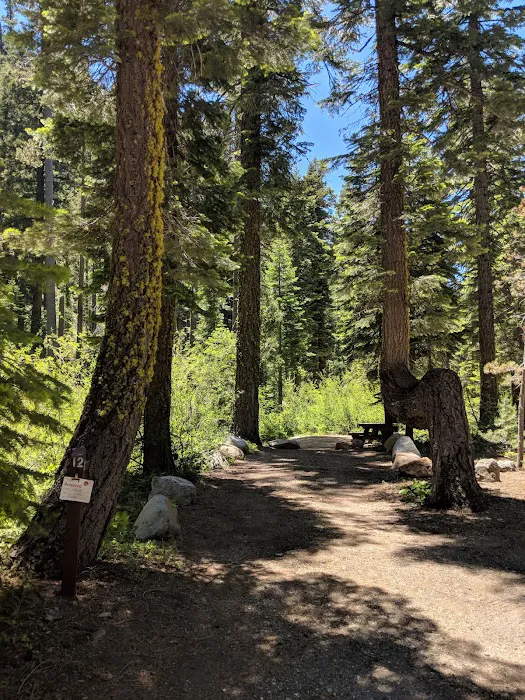 Sierra Campground Picture 5