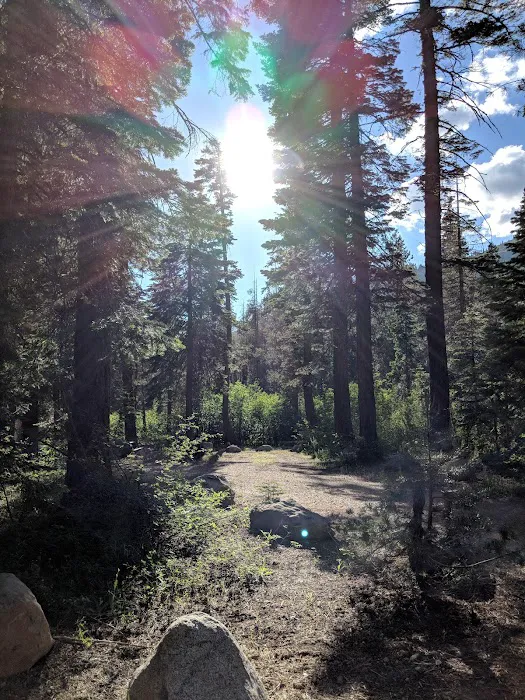 Sierra Campground Picture 6