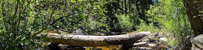 Sierra Campground Picture 2