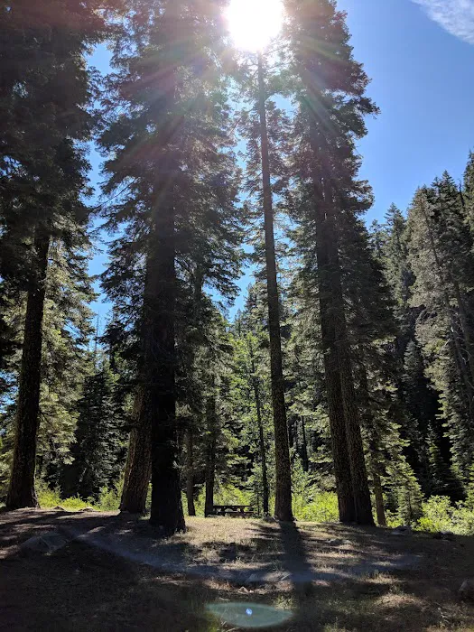Sierra Campground Picture 9
