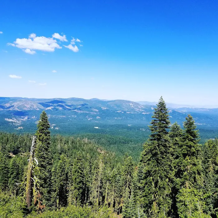 Sierra Campground Picture 10