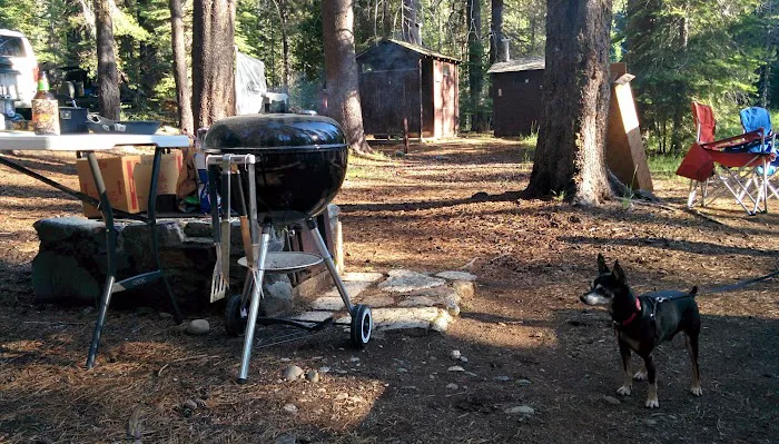 Chapman Creek Campground Picture 4