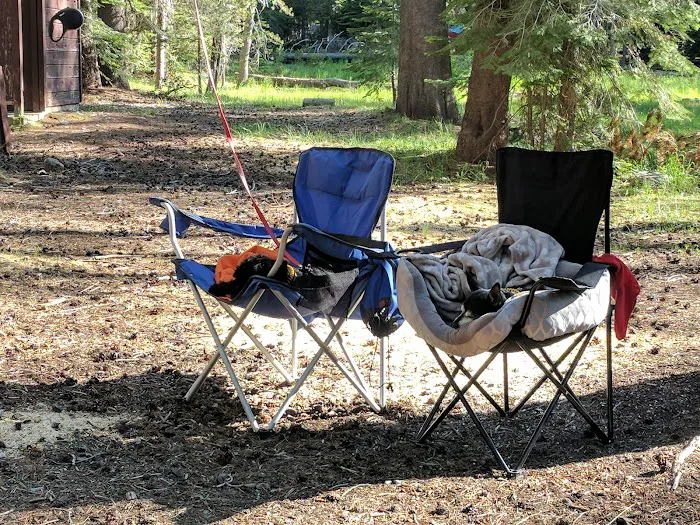 Chapman Creek Campground Picture 7