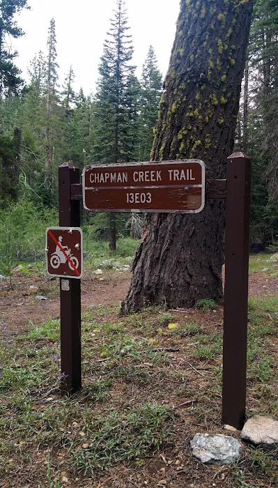 Chapman Creek Campground Picture 3
