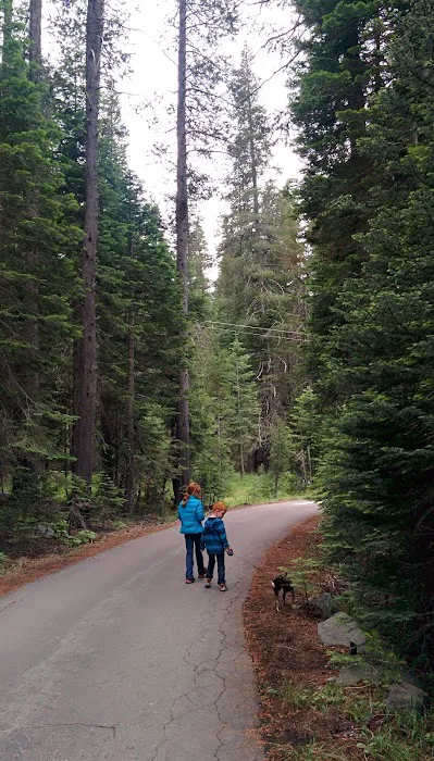 Chapman Creek Campground Picture 10
