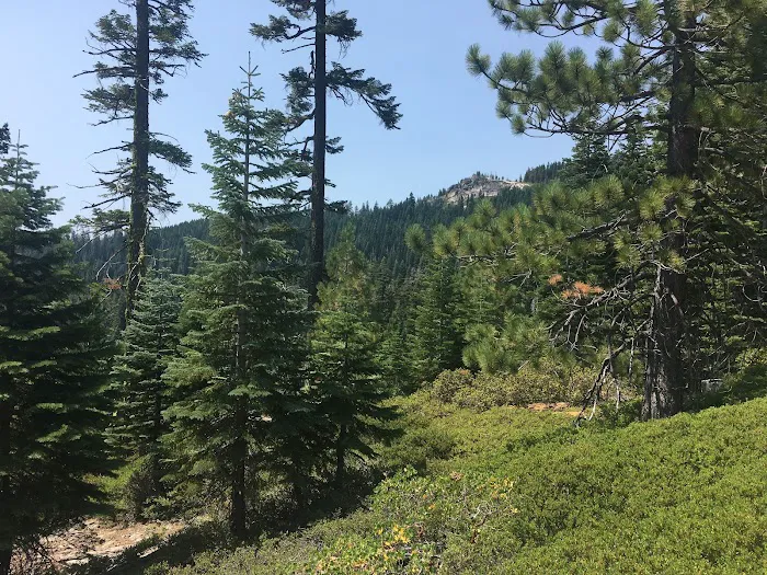 Chapman Creek Campground Picture 9