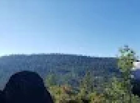 Camp Ritchie