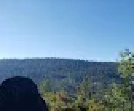 Camp Ritchie