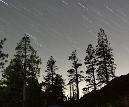 USFS Sugar Pine Point Campground