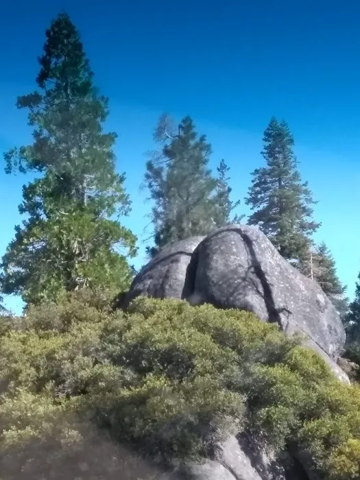 USFS Sugar Pine Point Campground Picture 10