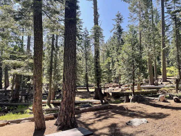Pardoes Point Campground Picture 9