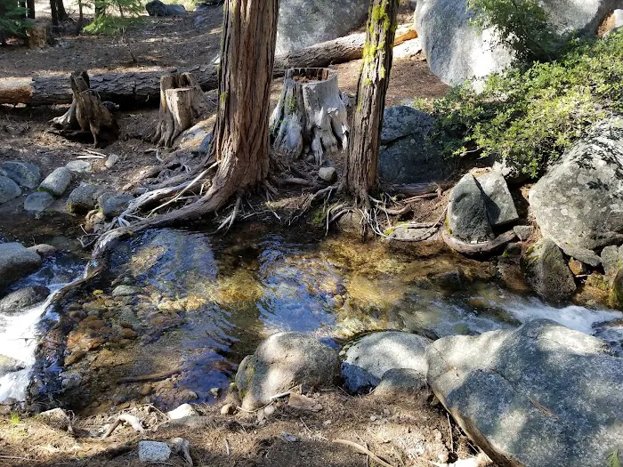 Pardoes Point Campground Picture 7