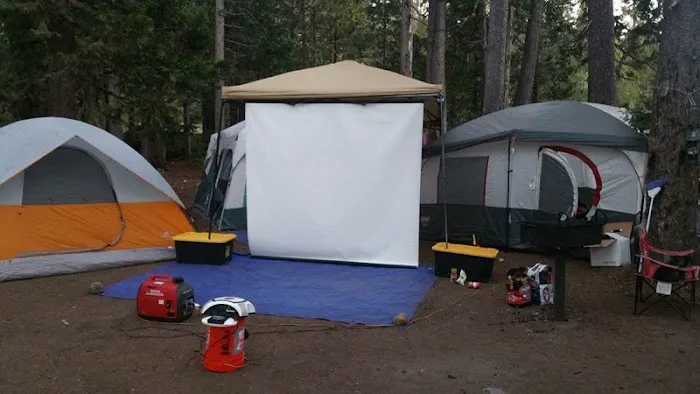 Pardoes Point Campground Picture 1