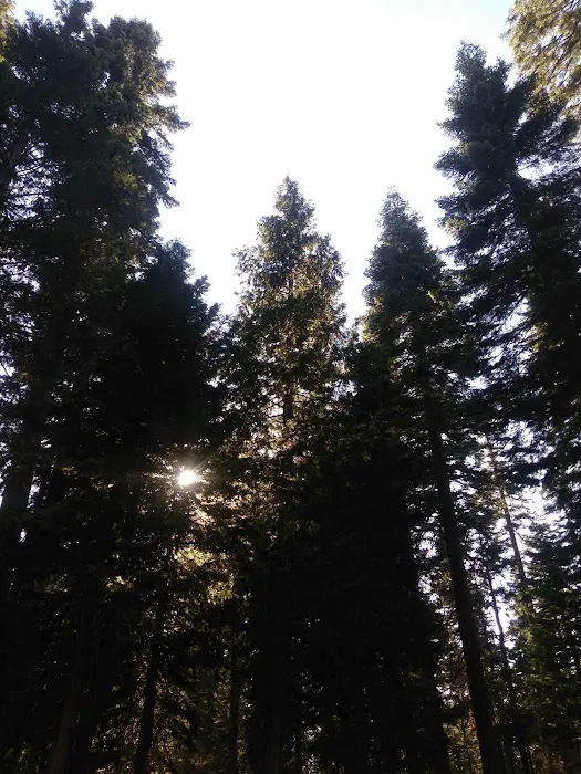 Bear River Group Campground Picture 7