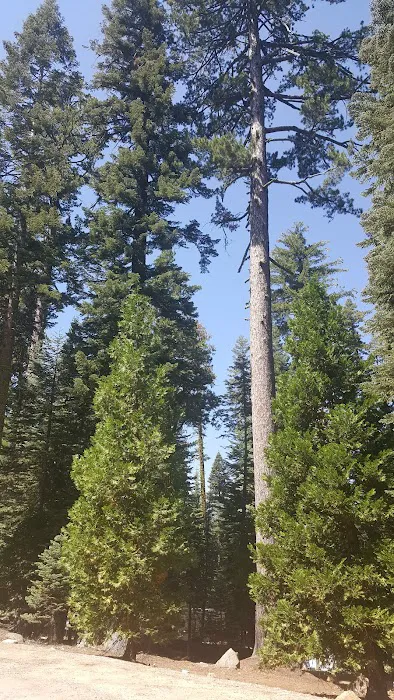Bear River Group Campground Picture 5