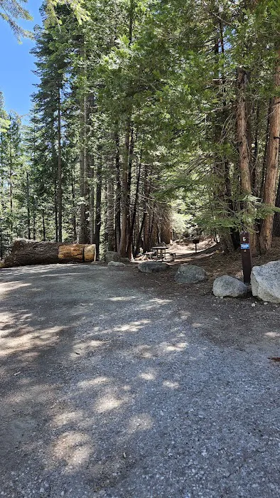 South Shore Campground Picture 3