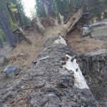 Cole Creek Campground