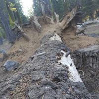 Cole Creek Campground ico